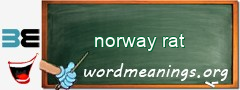 WordMeaning blackboard for norway rat
